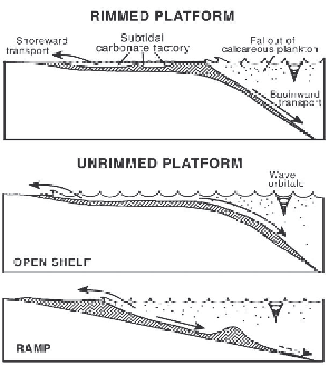 Carbonate Depositional Environments 