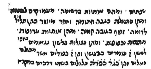 Grammatical treatise in Parsic mashait script, 1312 c.E. 