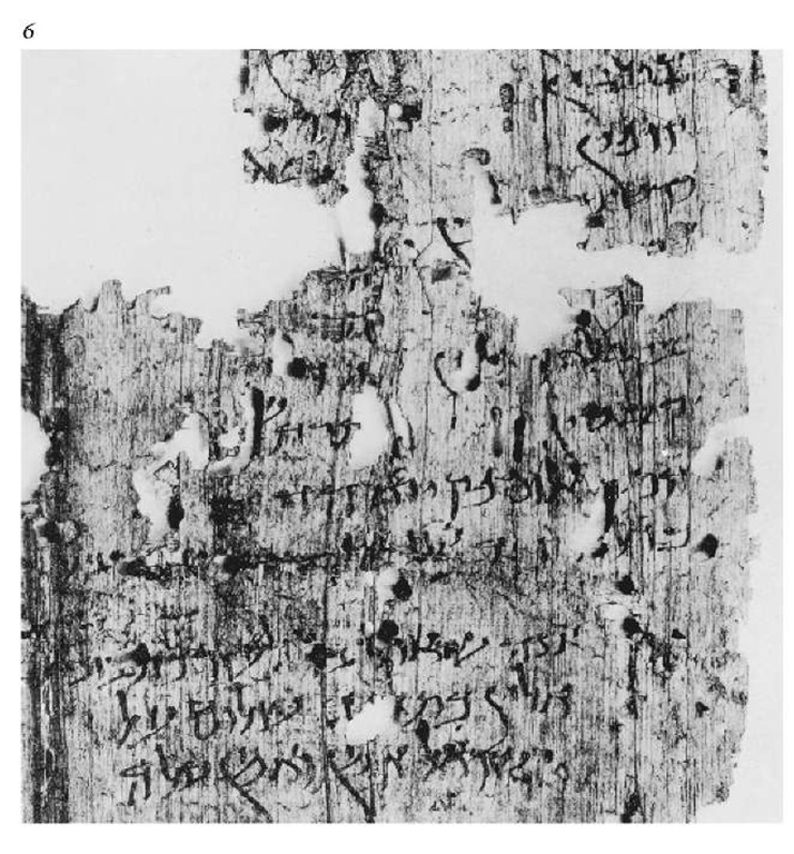 Egyptian cursive script of the fifth century c.e. 