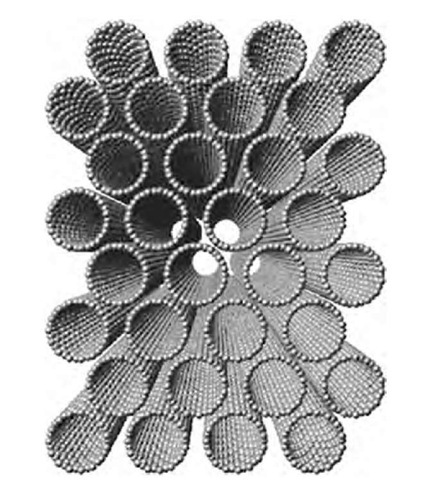 Cross-sectional view of a nanotube rope. 