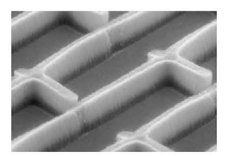 Nanotubes grown by chemical vapor deposition on a pattern of catalyst deposited on a substrate.