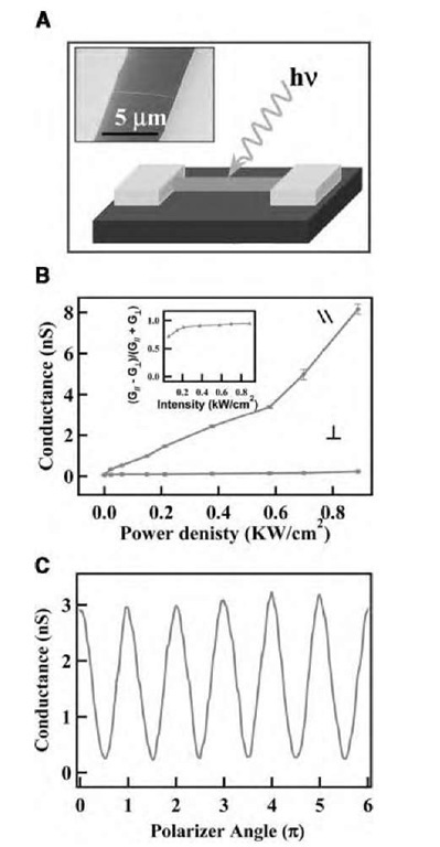 Polarized photodetection using individual InP NWs. (A) Schematic depicting the use of a NW as a photodetector. Inset: SEM image of a 20 nm diameter NW and contact electrodes for photoconductivity (PC) measurements. (B) Conductance, G, vs. excitation power density for excitation light polarized parallel and perpendicular to the NW axis. Inset: PC anisotropy vs. excitation power. (C) Conductance vs. polarization angle as the polarization was manually rotated while measuring the PC.