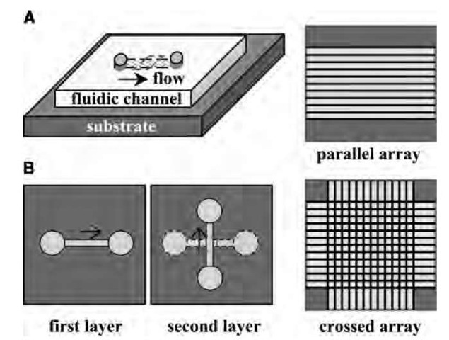 Fluid flow directed assembly NWs. (A) A channel is formed when a trench structure is brought in contact with a flat substrate. Nanowire assembly is carried out by flowing a NW suspension through the channel at a controlled rate and for a set duration. Parallel arrays of NWs are observed in the flow direction on the substrate when the trench structure is removed. (B) Crossed NW arrays can be obtained by changing the flow direction sequentially in a layer-by-layer assembly process.