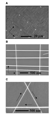 Layer-by-layer assembly of crossed NW arrays. (A, B) Typical optical microscope and SEM images of crossed arrays of InP NWs obtained in a two-step assembly process with orthogonal flow directions for the sequential steps. Arrows indicate the two flow directions. (C) An equilateral triangle of GaP NWs obtained in three-step assembly process, with flow directions highlighted by arrows. 