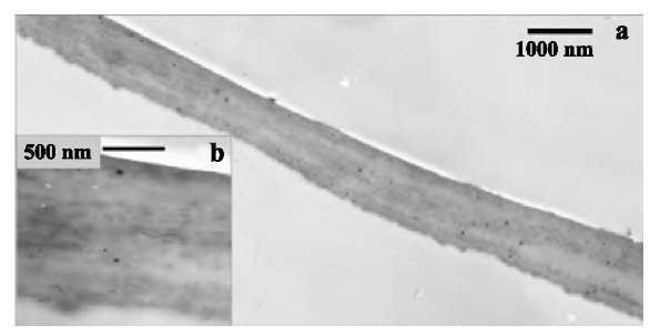 Transmission electron microscopic examination of the homogeneity of the SWNT LBL film. Survey (a) and close-up (b) TEM images of SWNT film cross sections. The top and bottom sides of the film are slightly different in roughness: The one that was adjacent to the flat substrate is smoother than the ''growth'' surface of the film.