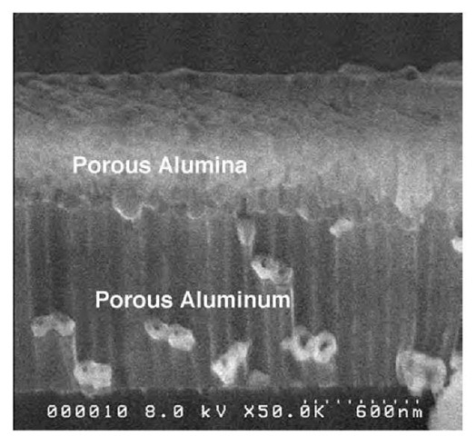 Right: Cross-section image postplasma etch showing porous alumina layer and the porous aluminum layer below.