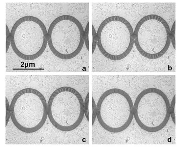 Reversal of the magnetic domain state of a row of sputter-deposited Co rings on silicon nitride. In-plane field component normal to row increases from (a) to (d), reversing magnetic state. Lorentz STEM. 