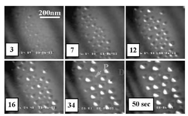 The evolution of Ge islands growing on a thin Si(001) substrate by in situ CVD at 650°C in a TEM. By 3 sec, nucleation of islands is evident, which coarsens with time; after 16 sec a transition occurs in which steep-walled domes form at the expense of shrinking shallow pyramids.