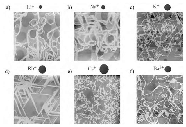 Surface morphology of transferred nanowires of (1)(F4-TCNQ)2 on mica from a) LiCl, b) NaCl, c) KCl, d) RbCl, e) CsCl, and f) BaCl2 containing subphase. The concentration of ions in the subphase was fixed at 0.01 M. The scales of AFM images are 10 x 10 mm2. 