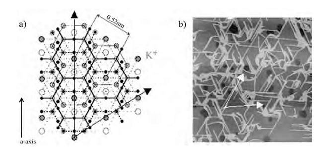  a) Crystal structure of mica surface. Hexagonal arrays of K+ sites are indicated by red closed circles. b) Atomic force microscopy (AFM) image of oriented nanowires on mica surface deposited from 0.01 M KCl subphase. The white allows correspond to hexagonal lattice of K+ site on mica, showing the relation between the nanowire orientation and K+ array. 