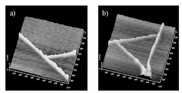 Selected AFM images of oriented molecular-assembly nanowires. a) Nanowire tree and b) nanowire triangles. Scale of AFM images are 1 x 1 mm2. 