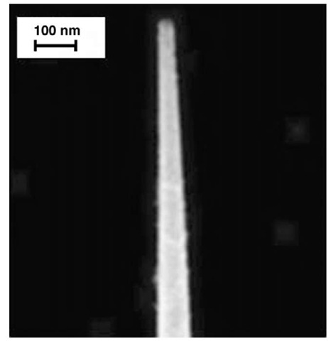 A SEM of a tapered fiber optic probe. The diameter of the tapered tip is approximately 40 nm. 