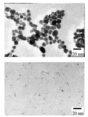 Electron micrographs of gold colloids and histograms of particle size distribution at molar ratio of surface amino group of G5 and HAuCl4: 1:1 (top) and 4:1 (bottom).