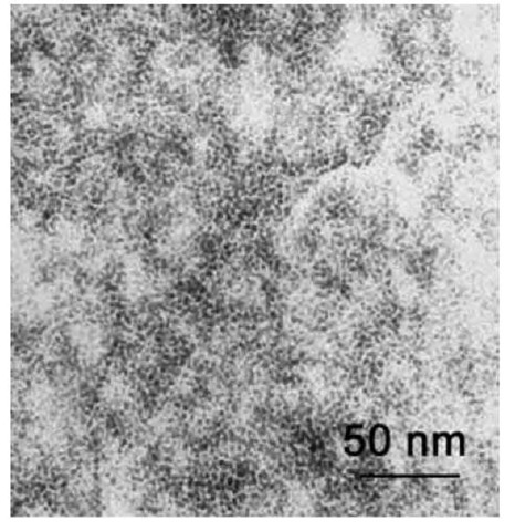 Transmission electron microscopic image of Pt nanoparticles formed in protonated PAHAPS prepared in water at a concentration of 1.5 wt.%. 