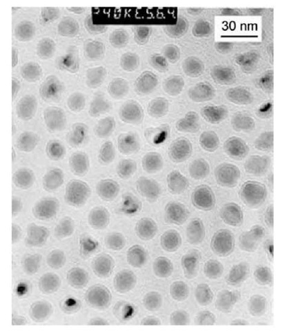 Transmission electron microscopic image of PIB-coated nanoparticles made with 80 g of Fe(CO)5 and 11 g of PIB-TEPA (tetraethylenepentamine). 