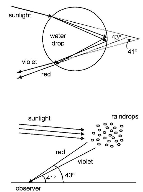 The formation of a rainbow is caused by the refraction of sunlight by raindrops. The primary bow is produced by a single reflection within a drop (top image) combined with the dispersion of light associated with the variation of refractive index with wavelength. To observe a rainbow (bottom image), sunlight must come from behind the observer; the red portion forms a bow of 43° cone angle, the violet, a 41° cone angle.  