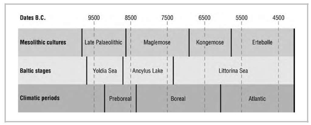 Mesolithic chronology for southern Scandinavia. 