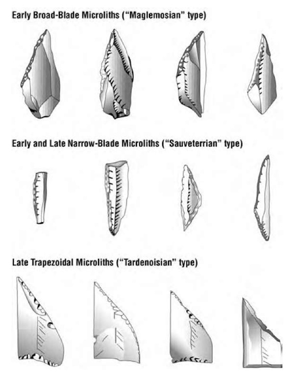 Artifact types of the Earlier (Maglemosian) and Later (Sauveterrian and Tardenoisian) Mesolithic from northwest Europe. Widths of the microliths depicted here range from about 0.5 centimeters (narrow-blade) to 1.5 centimeters (trapezoidal). 