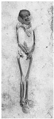 Late Mesolithic grave of an adult woman at Hardinxveld-Polderweg, The Netherlands. 