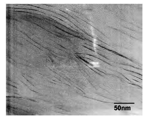 TEM images of cured 3% SC6/Epon 862/W nanocom-posite. 