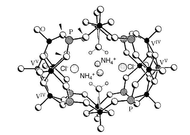 Structure of the oxo-vanadium cluster 4 showing templating ammonium and chloride ion-pairs in the center of the cavity.