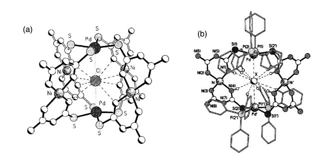 The molecular structures of the mixed metal nickel and palladium cages 