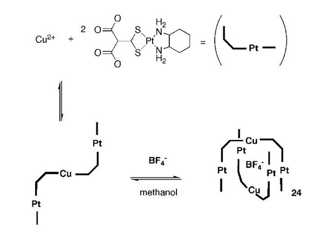 Scheme 5 A schematic representation of the arrangement of the platinum, copper, and BF4 components. 