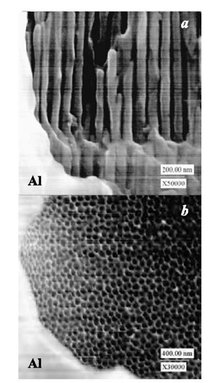 Scanning electron micrographs of ordered AAO on an aluminum sheet prepatterned with SiO2 circular spots (ca. 1-mm diameter) through a sol-gel process: (a) cross-sectional view of the AAO / Al interface; (b) surface view of the AAO / Al interface. b was obtained by dissolving SiO2 in a 5 wt.% sodium hydroxide solution. 