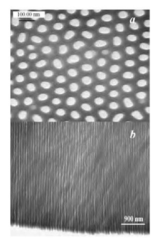 Transmission electron micrographs of surface (a) and cross section (b) of freestanding and through-hole AAO membranes. 