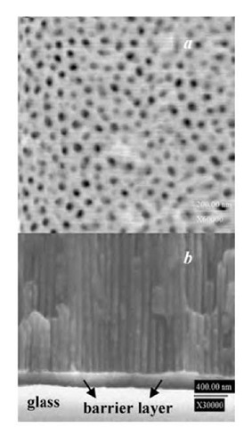 Scanning electron micrographs of surface (a) and cross section (b) obtained on vacuum-evaporated aluminum films on glass. 