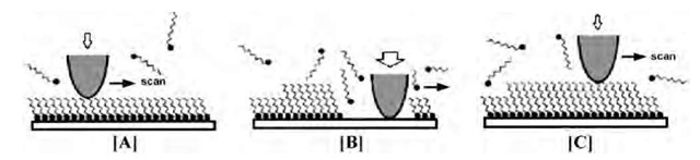 Schematic diagram of the nanografting process. 