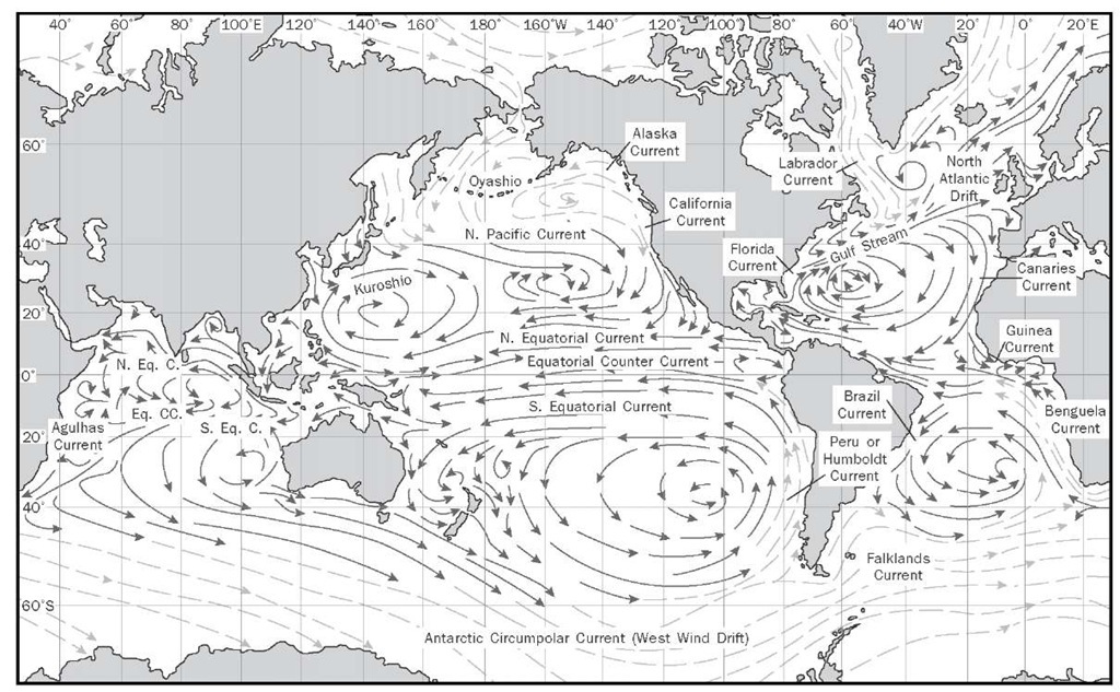 A number of different ocean currents circulate in and through the world's oceans. 