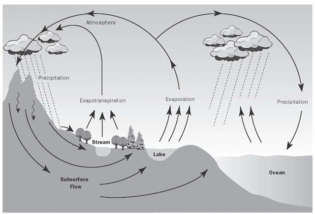 Water that falls to Earth as precipitation (mainly rain and snow) follows many paths before returning to the atmosphere. The hydrologic cycle describes how water cycles throughout the atmosphere, seas, and other reservoirs of water. Thomson Gale. 