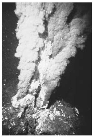 A black-smoker hydrothermal vent near the Endeavor Ridge off the coast of California.