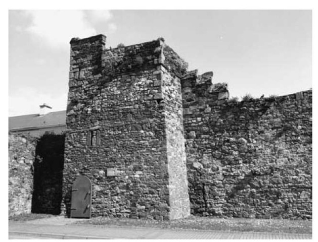 Town wall, Waterford City. 