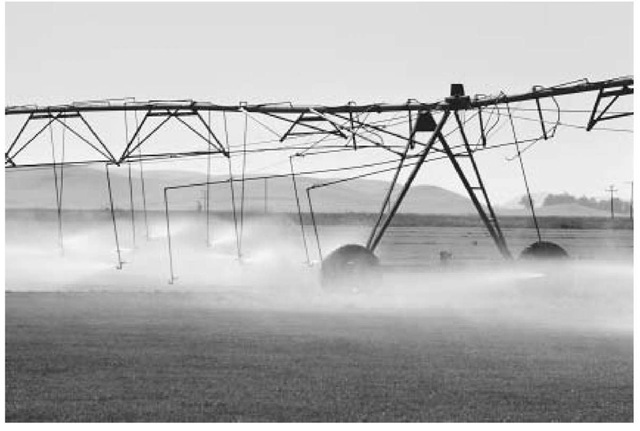 Sprinkler irrigation can be an essential addition to natural rainfall.