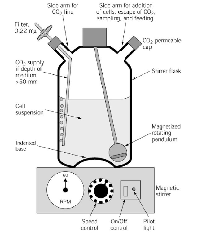 Cross-sectional diagram of a stirrer vessel on a magnetic stirrer. The side arm at top right is used to add cell suspension and collect samples; it has a permeable cap to allow escape of CO2. Filtered CO2 in air is supplied via a filter to the side arm at top left; it is required if the depth of the culture medium exceeds 50 mm. Agitation is achieved by a magnet, enclosed in a glass pendulum, and is driven by the magnetic stirrer at ~60 rpm. 