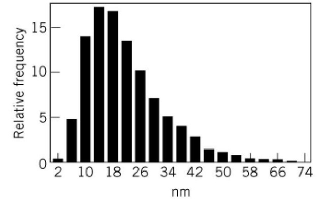 Histograms of the distances between two branching points of polygonal meshwork of type IV collagen aggregates. 