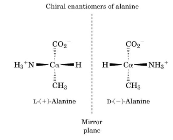 The enantiomers of alanine, which are mirror images. Note that the a-carbon is chiral because of the four different substituents. The (l) and (d) designate the absolute configuration of the chiral center, whereas the (+) and (-) indicate which direction an aqueous solution of the enantiomer will rotate the plane of polarized light.