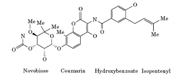 The chemical structure of novobiocin. 