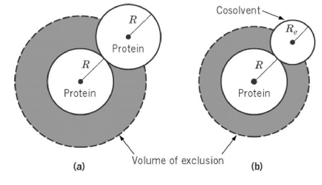 Schematic illustration of the excluded volume of spherical molecules. (a) Each solute molecule is excluded from the space occupied by other solute molecules in solution. In very dilute solutions, each molecule of radius R contributes a spherical volume of radius 2 R. (b) A cosolvent of radius Re much greater than that of water statistically cannot be close to a protein molecule due to a steric exclusion principle, resulting in the preferential hydration of protein.