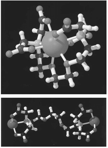 Three-dimensional structures of complexes of EGTA