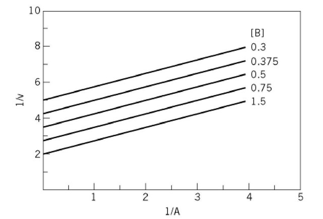 Parallel initial velocity pattern for a ping-pong mechanism as obtained by varying substrate A at different fixed concentrations of substrate B. The values in arbitrary units for V, Ka, and Kb were 0.8, 0.6, and 0.9, respectively