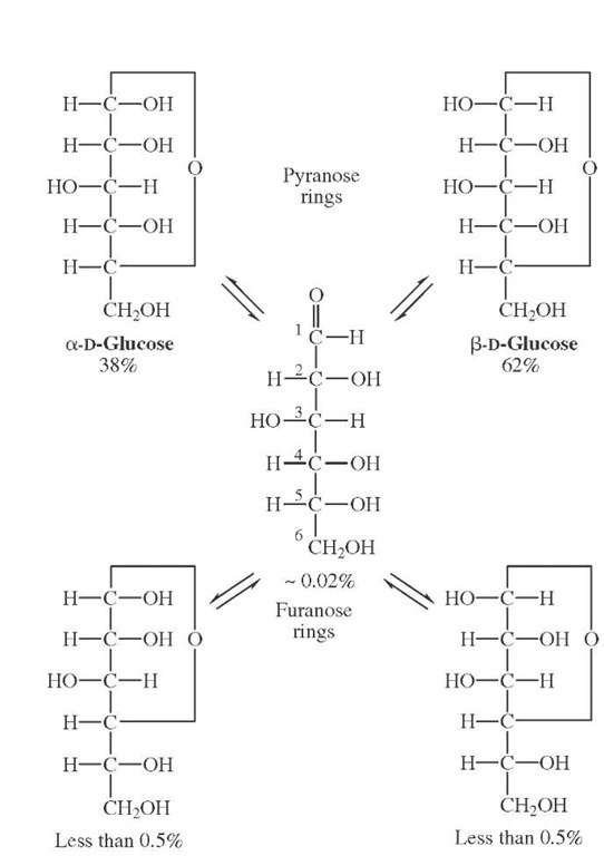 Equilibrium mixture of D-glucose in aqueous solution.