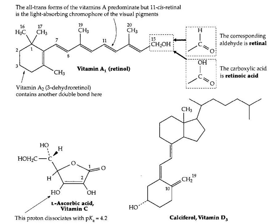 The structures of vitamins A, C, and D.
