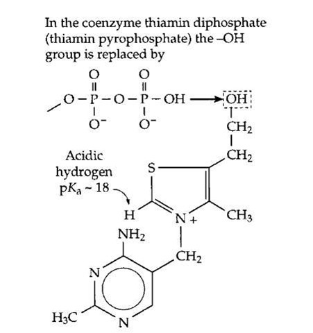 The vitamin thiamin and its coenzyme form thiamin diphosphate (thiamin pyrophosphate).