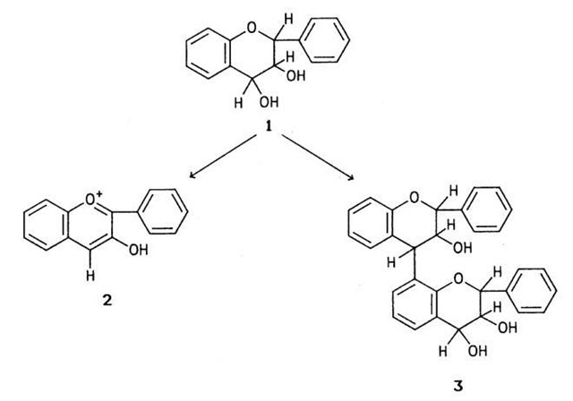 Basic structures of leucoanthocyanidins (1), anthocyanidins (2), and dimeric leucoanthocyanidins (3).