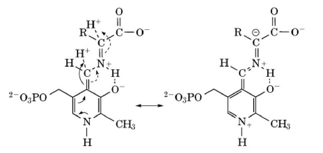 Quino m>i d- carban ionic structure 
