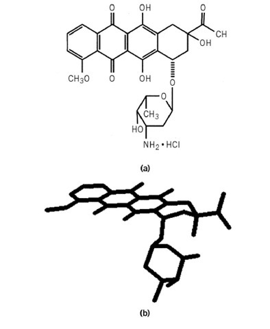 The chemical structure (a) and molecular model (b) of the anthracycline antibiotic daunomycin. 