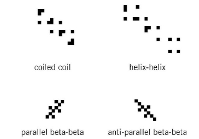 Representative patterns of side-chain contact maps describing interactions between a-helices (top) and between b-strands in parallel and antiparallel beta-sheets (bottom). 